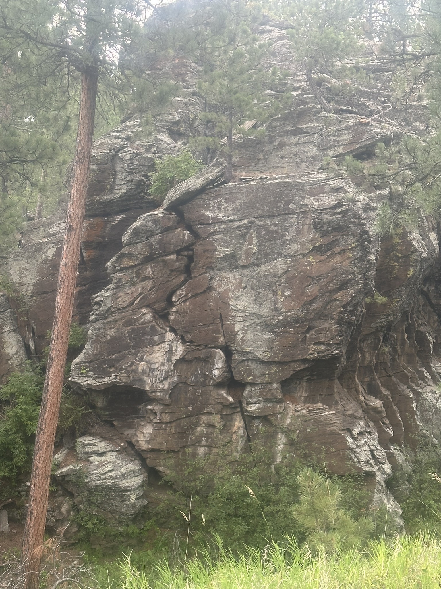 South Dakota - Image 232